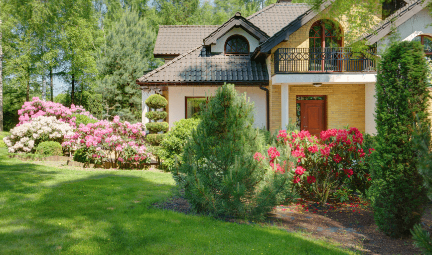 Evergreen 25 Landscaping 