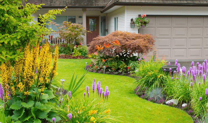 Evergreen 25 Landscaping 