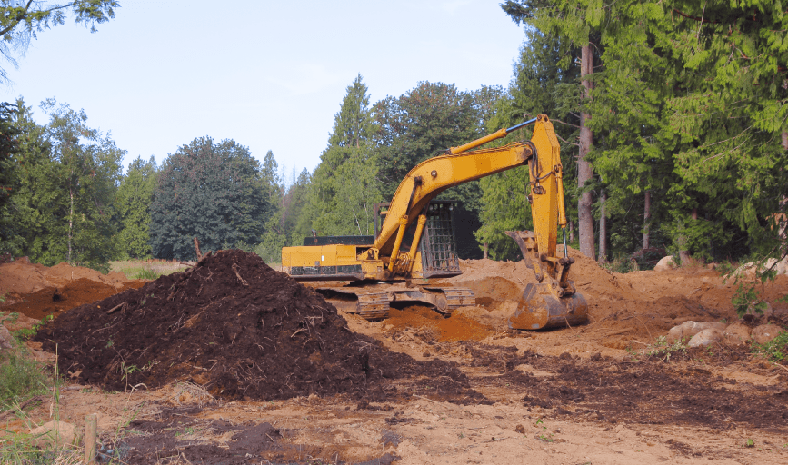 Evergreen 25 Landscaping 